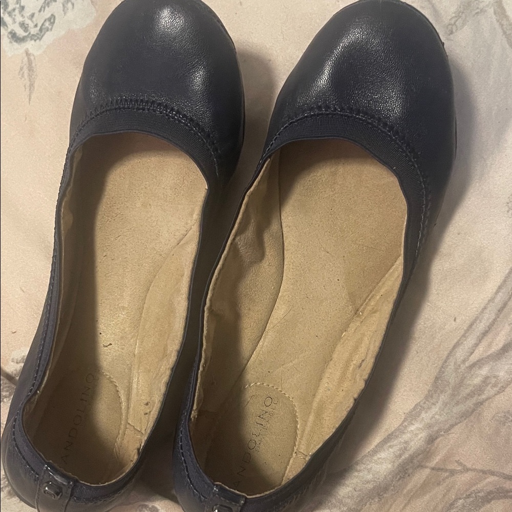 Outwoods Women's Dark Blue Ballet Flats